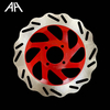Motorcycle Brake Disc